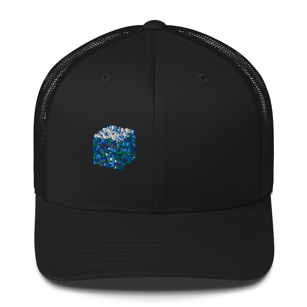DotMap #14 - Trucker Cap