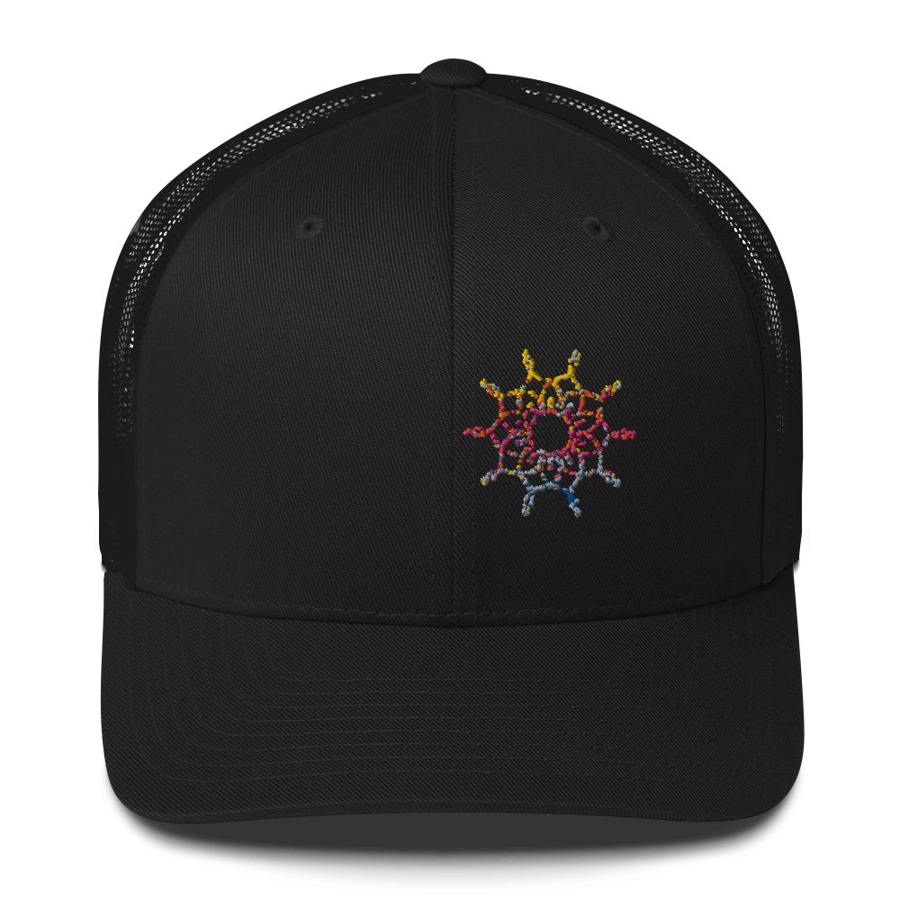 DotMap #41 - Trucker Cap