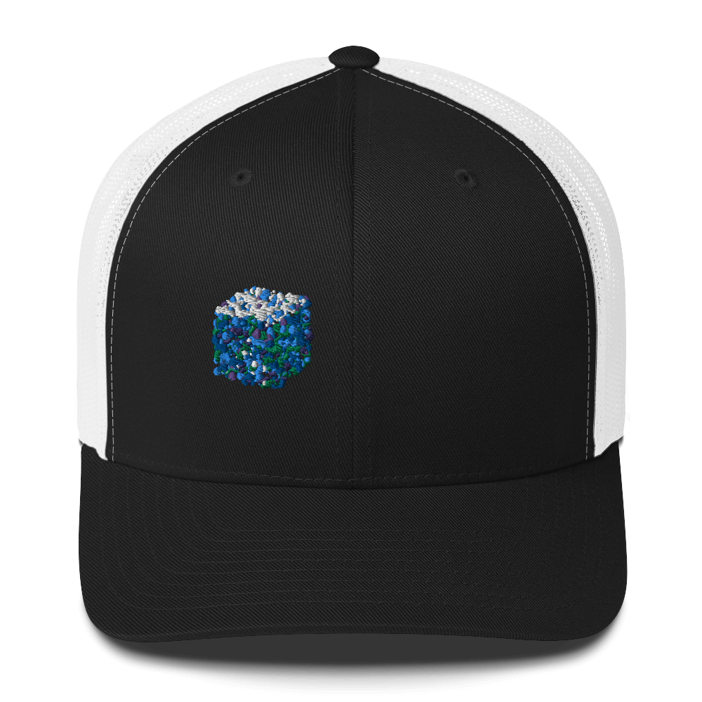 DotMap #14 - Trucker Cap