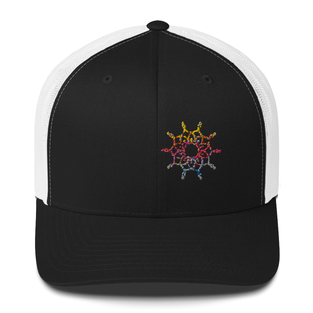 DotMap #41 - Trucker Cap