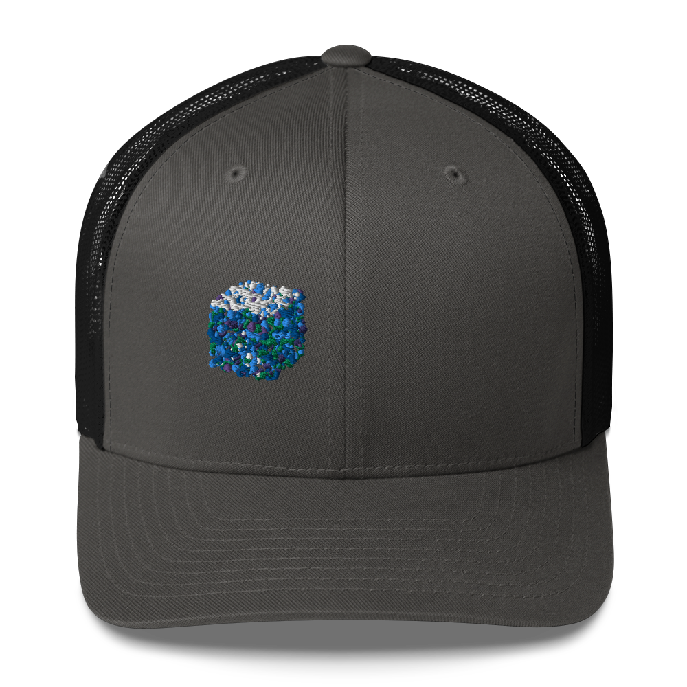 DotMap #14 - Trucker Cap
