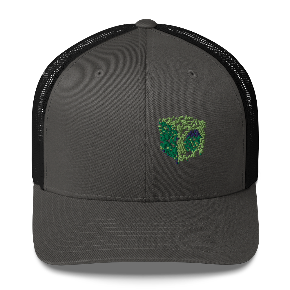 DotMap #30 - Trucker Cap