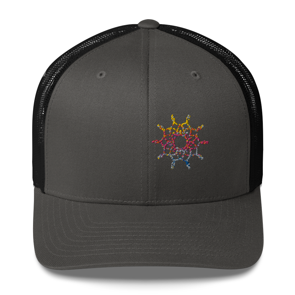 DotMap #41 - Trucker Cap