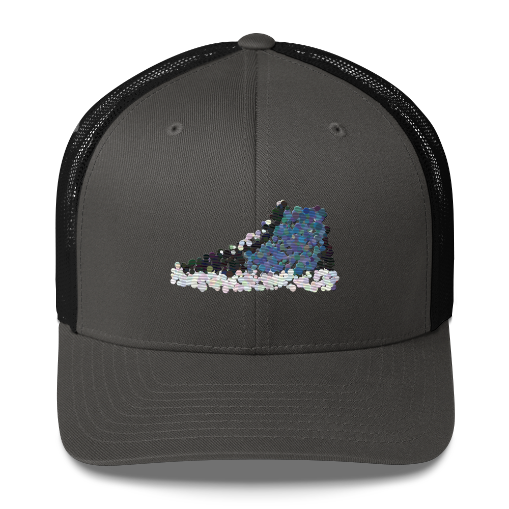 DotMap #15 - Trucker Cap