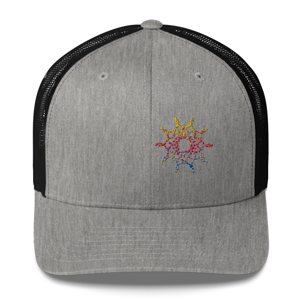DotMap #41 - Trucker Cap