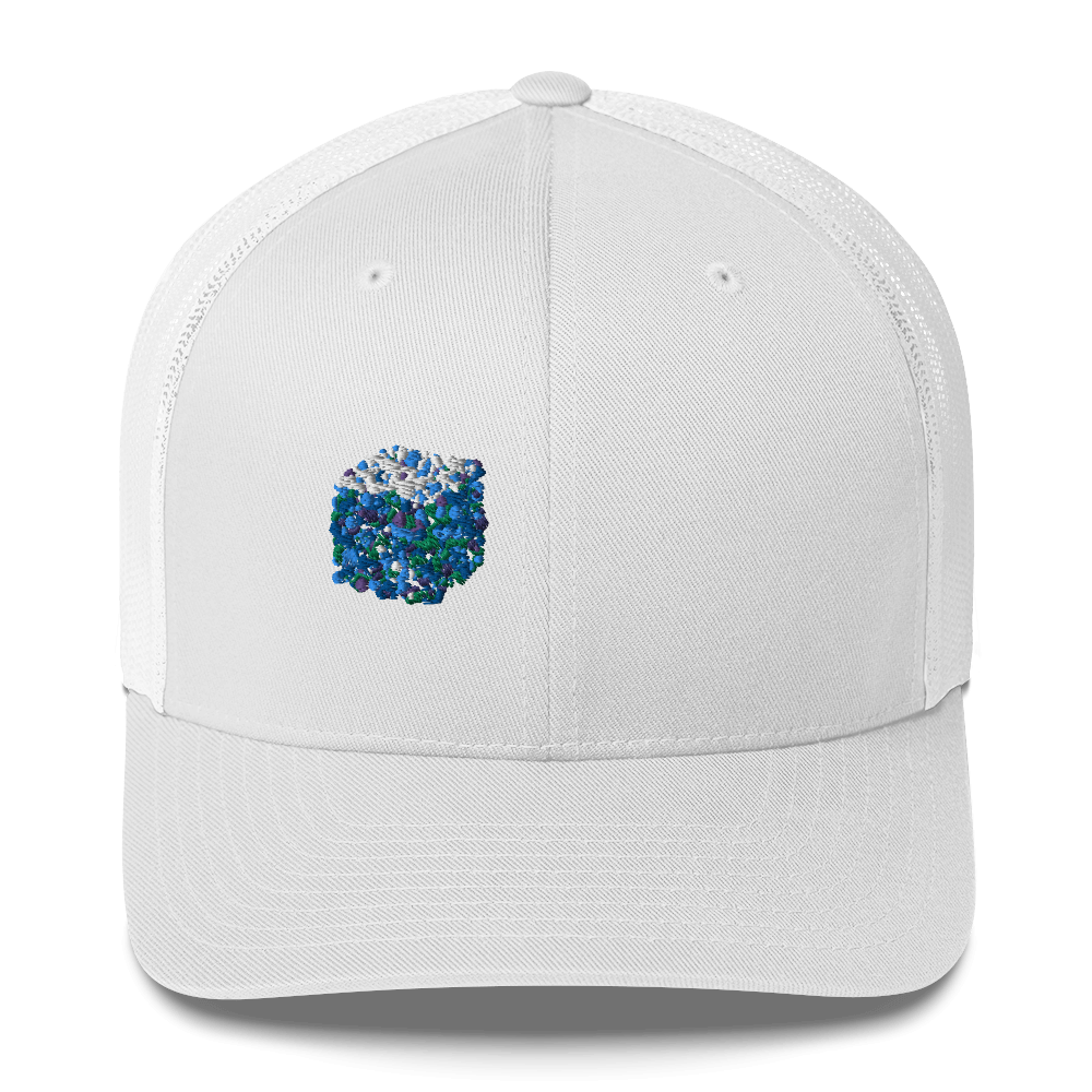 DotMap #14 - Trucker Cap