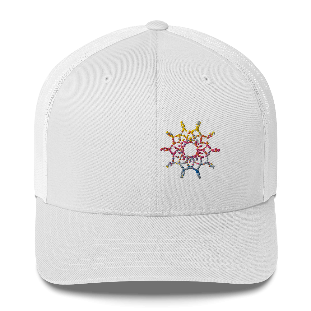 DotMap #41 - Trucker Cap