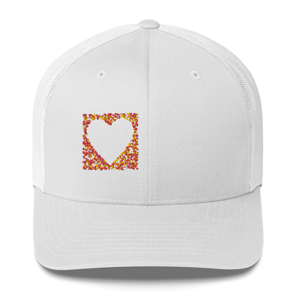 DotMap #49 - Trucker Cap