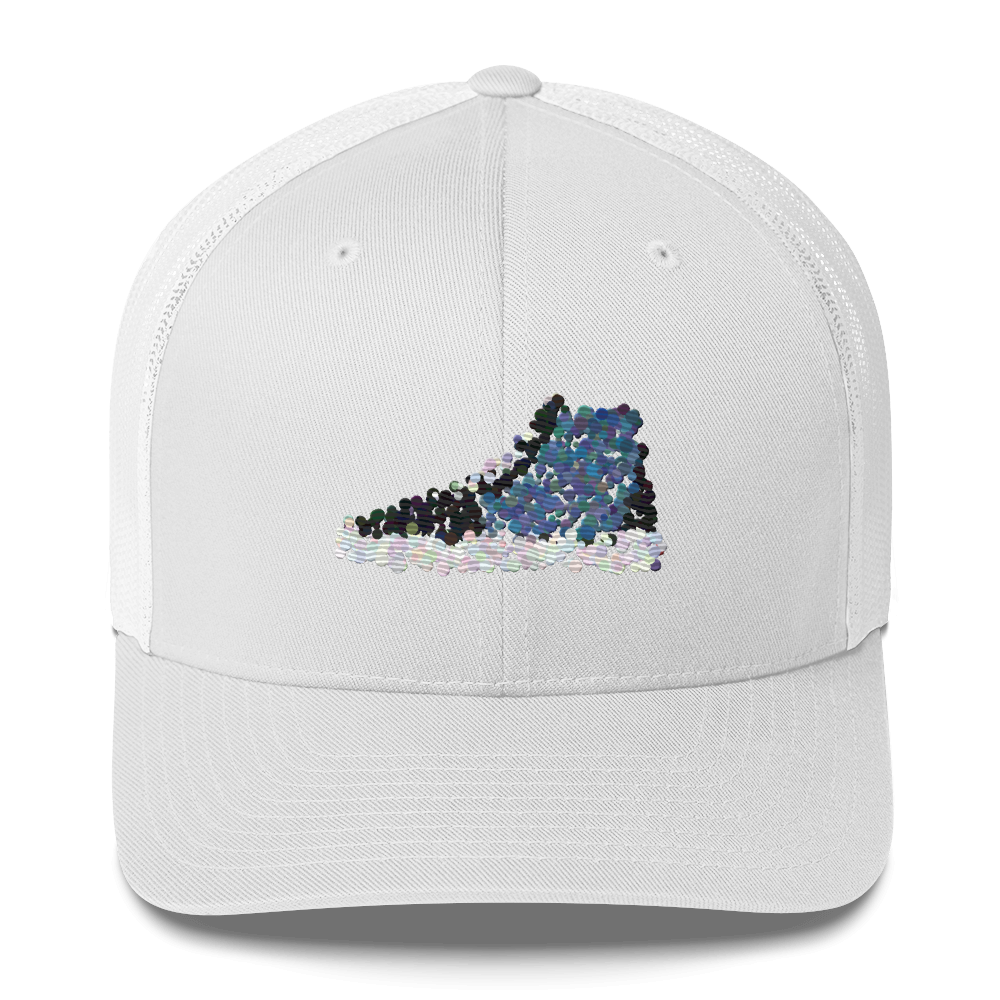 DotMap #15 - Trucker Cap