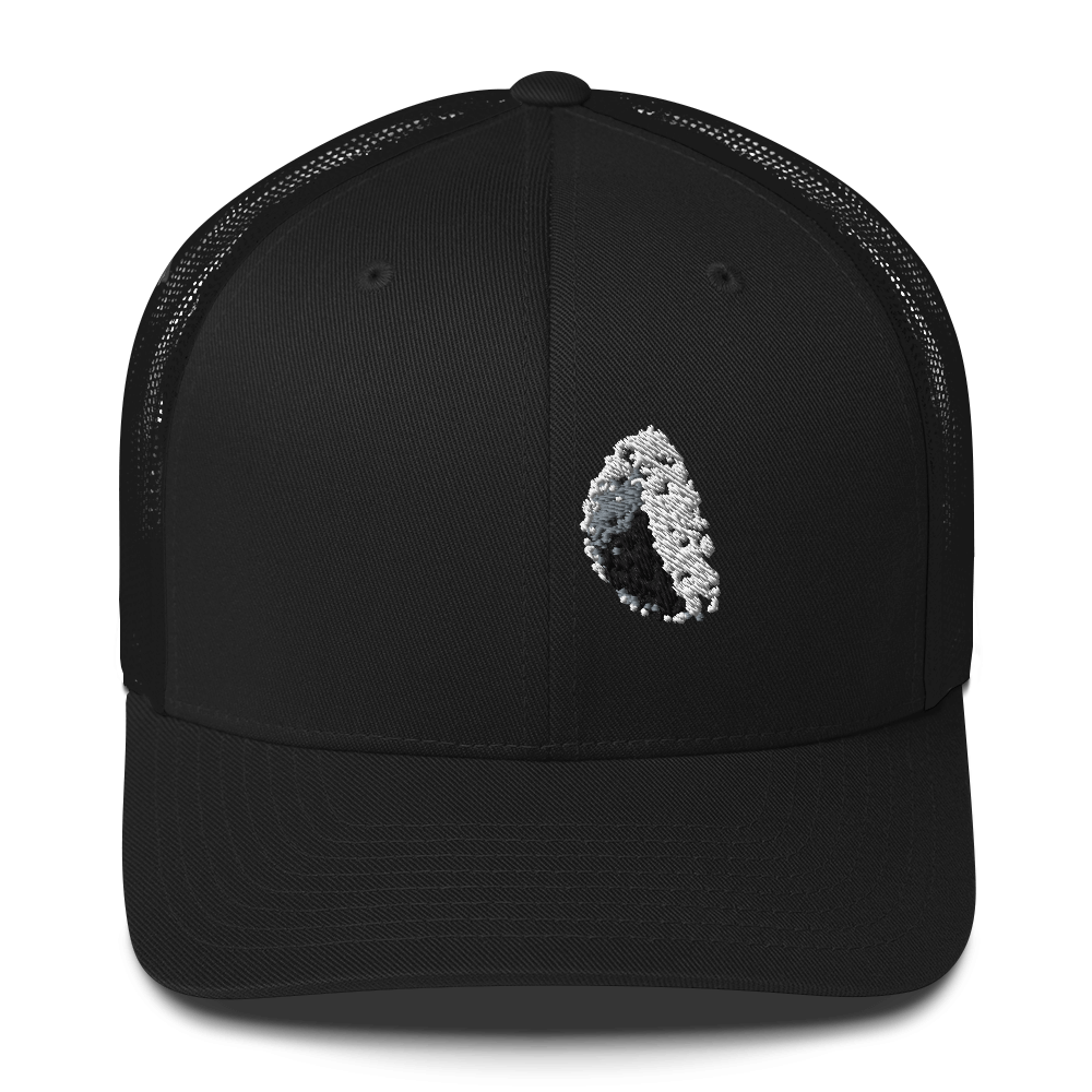 DotMap #20 - Trucker Cap