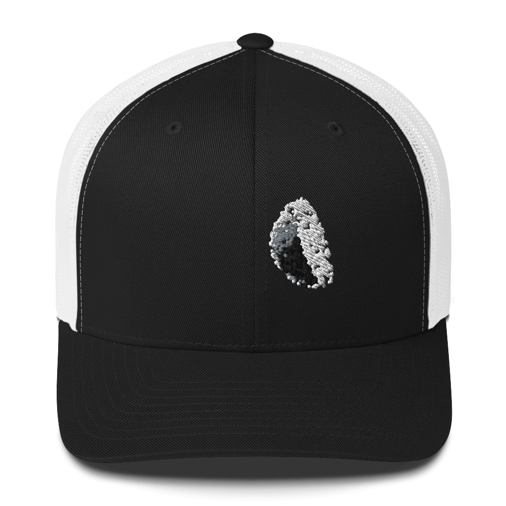 DotMap #20 - Trucker Cap