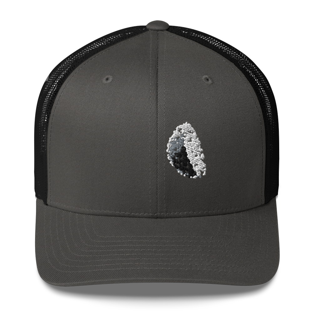 DotMap #20 - Trucker Cap