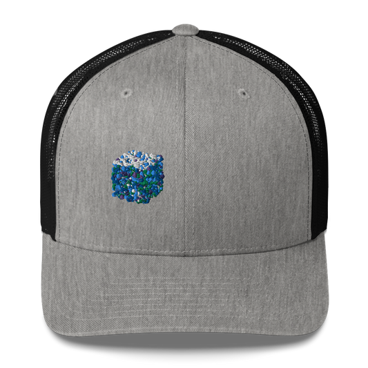 DotMap #14 - Trucker Cap