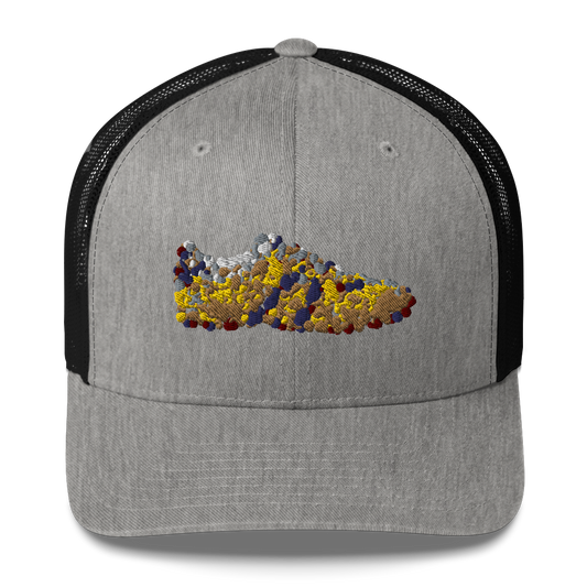 DotMap #63 - Trucker Cap