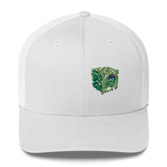 DotMap #30 - Trucker Cap