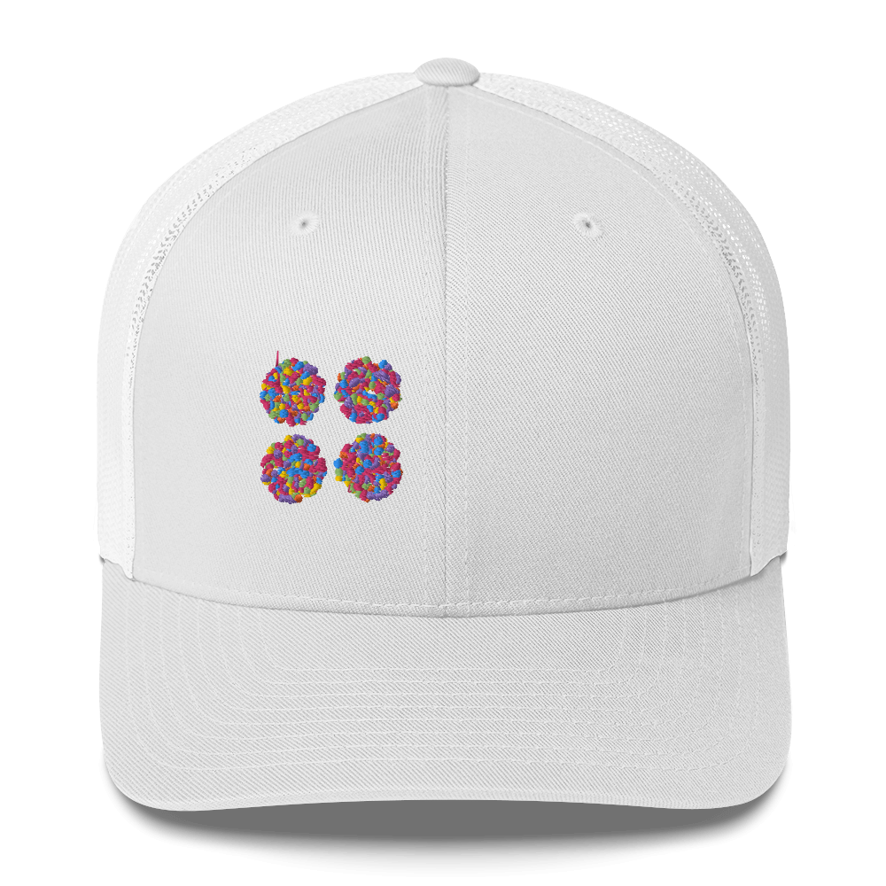 DotMap #35 - Trucker Cap