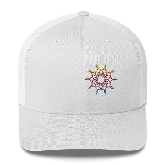 DotMap #41 - Trucker Cap