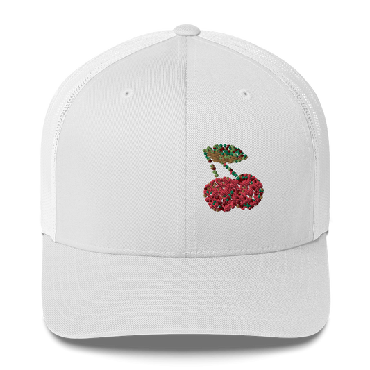 DotMap #64 - Trucker Cap